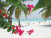 Kuredu Island Resort 